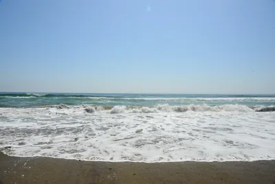 DSC_2510 (Large).JPG